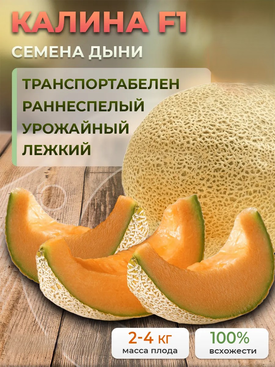 Голландские семена дыни